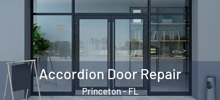  Accordion Door Repair Princeton - FL