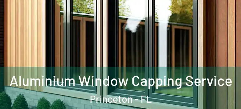  Aluminium Window Capping Service Princeton - FL