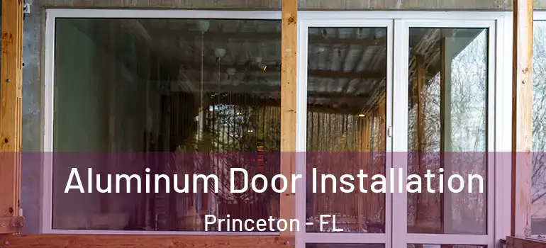  Aluminum Door Installation Princeton - FL