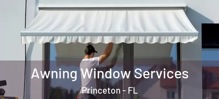  Awning Window Services Princeton - FL