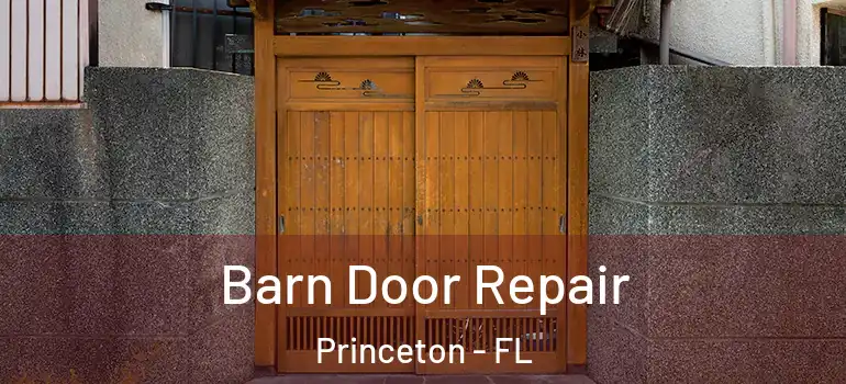  Barn Door Repair Princeton - FL