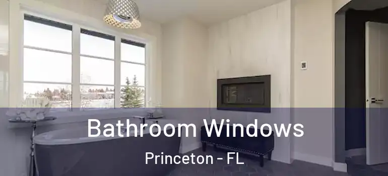  Bathroom Windows Princeton - FL