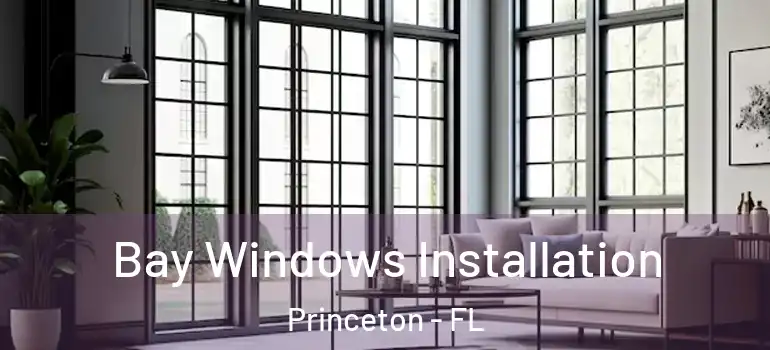  Bay Windows Installation Princeton - FL