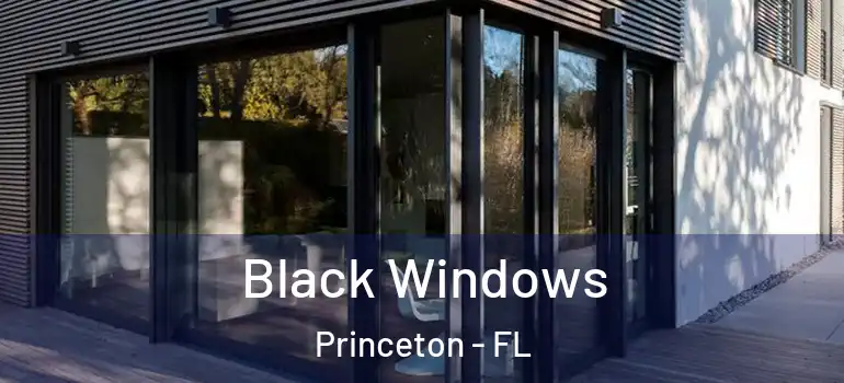  Black Windows Princeton - FL