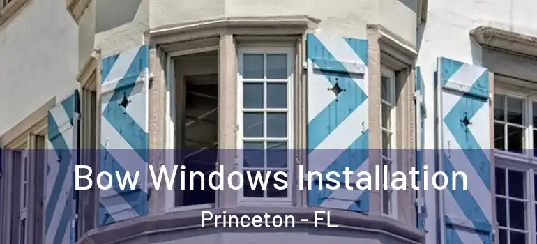  Bow Windows Installation Princeton - FL