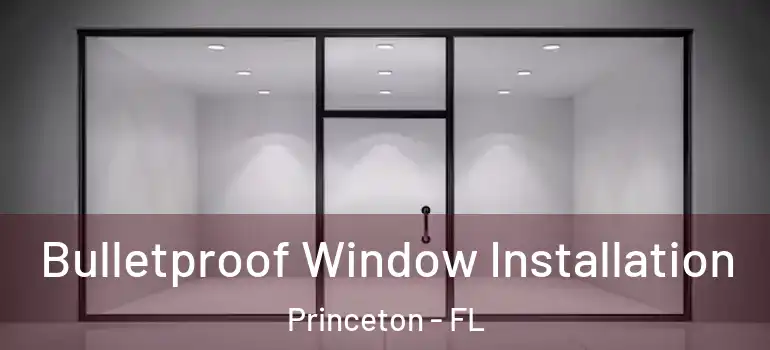  Bulletproof Window Installation Princeton - FL