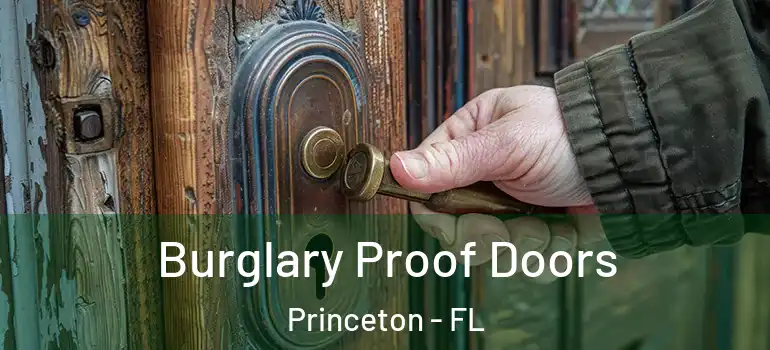  Burglary Proof Doors Princeton - FL