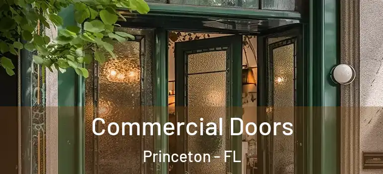  Commercial Doors Princeton - FL