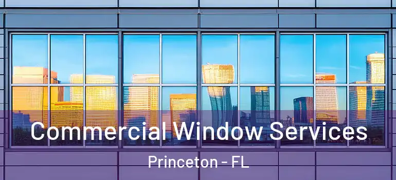  Commercial Window Services Princeton - FL