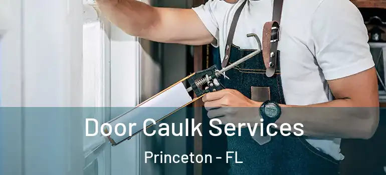  Door Caulk Services Princeton - FL
