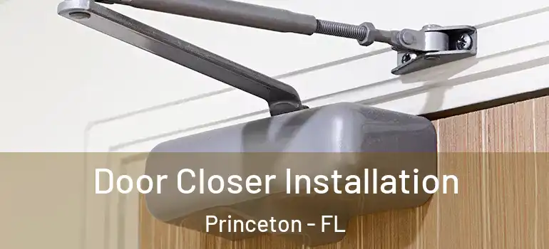  Door Closer Installation Princeton - FL