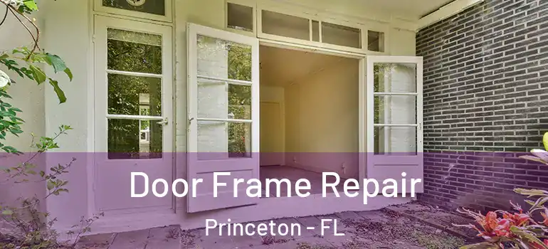  Door Frame Repair Princeton - FL