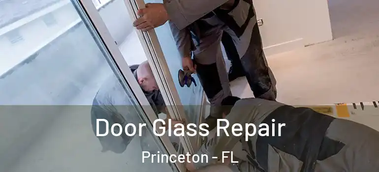  Door Glass Repair Princeton - FL