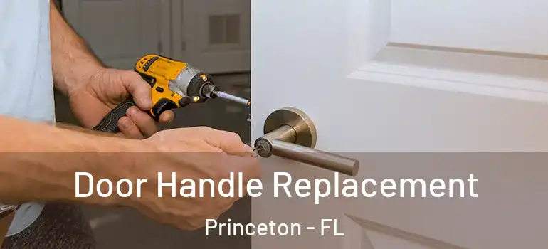  Door Handle Replacement Princeton - FL