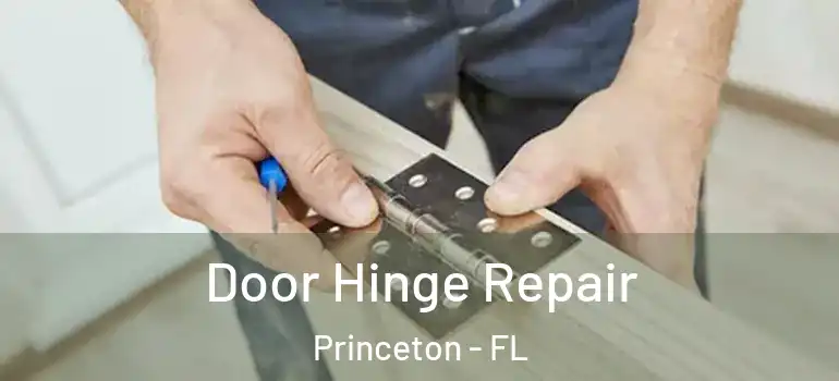  Door Hinge Repair Princeton - FL