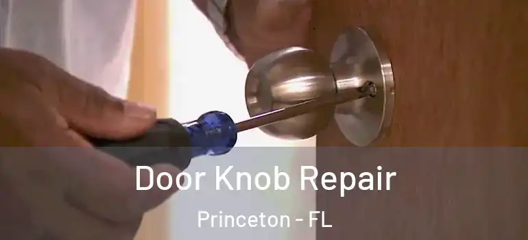  Door Knob Repair Princeton - FL