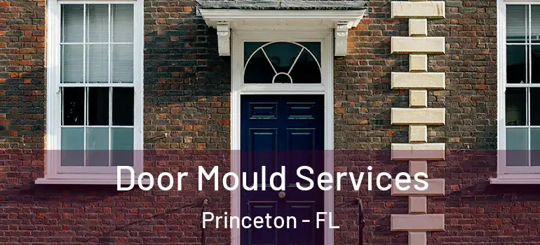  Door Mould Services Princeton - FL