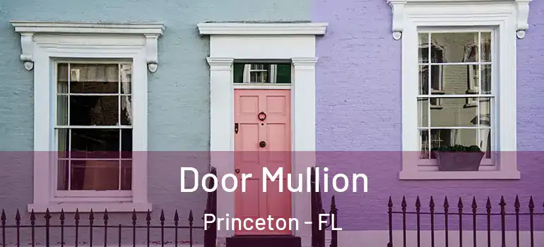  Door Mullion Princeton - FL