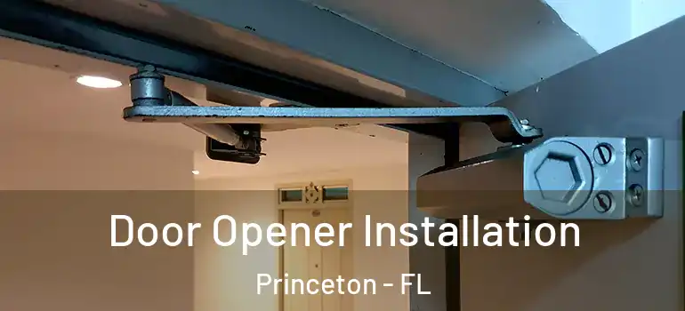  Door Opener Installation Princeton - FL