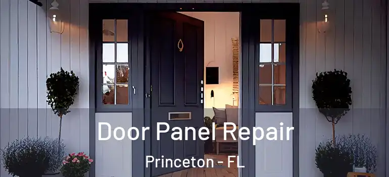 Door Panel Repair Princeton - FL