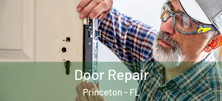  Door Repair Princeton - FL