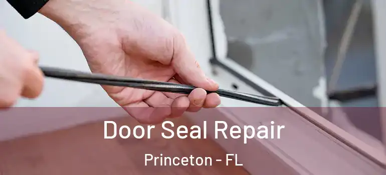  Door Seal Repair Princeton - FL