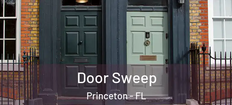  Door Sweep Princeton - FL