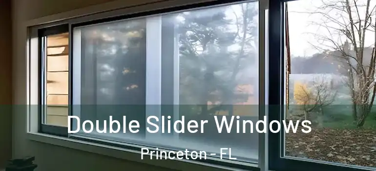  Double Slider Windows Princeton - FL