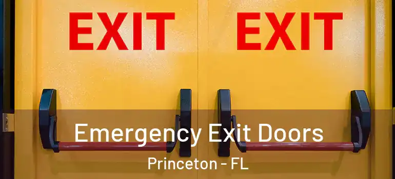  Emergency Exit Doors Princeton - FL