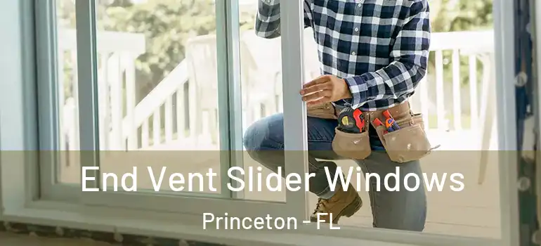  End Vent Slider Windows Princeton - FL