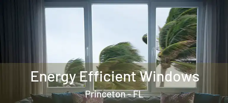  Energy Efficient Windows Princeton - FL