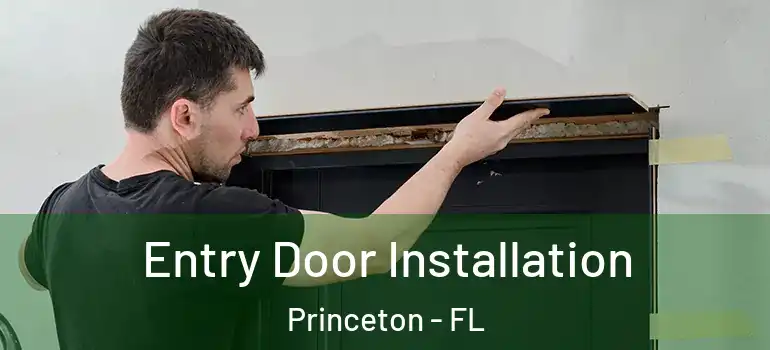  Entry Door Installation Princeton - FL