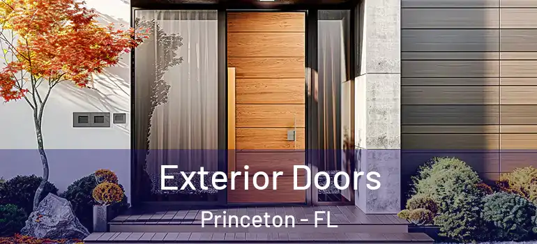  Exterior Doors Princeton - FL
