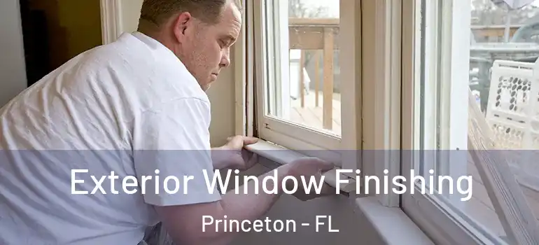  Exterior Window Finishing Princeton - FL