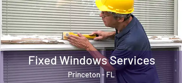  Fixed Windows Services Princeton - FL