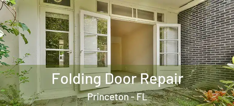  Folding Door Repair Princeton - FL