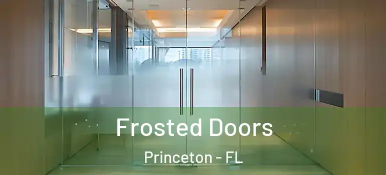  Frosted Doors Princeton - FL