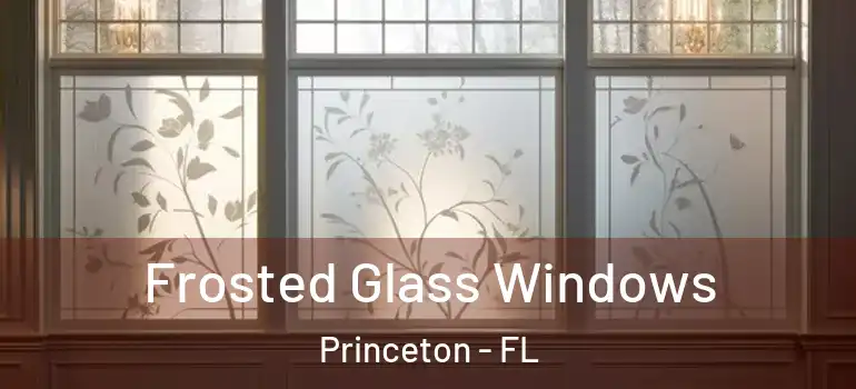  Frosted Glass Windows Princeton - FL