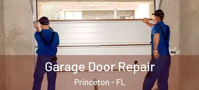  Garage Door Repair Princeton - FL