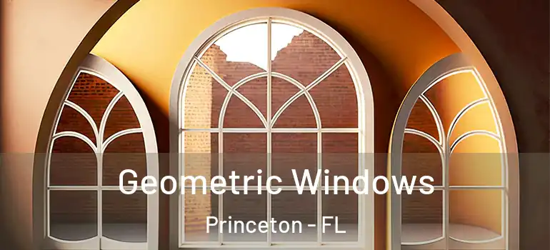  Geometric Windows Princeton - FL