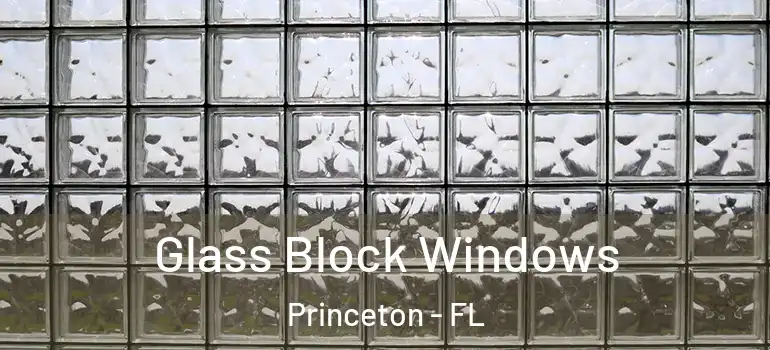  Glass Block Windows Princeton - FL