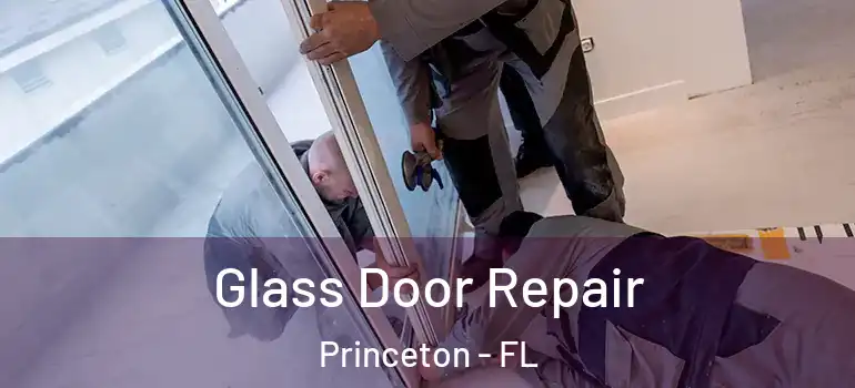  Glass Door Repair Princeton - FL