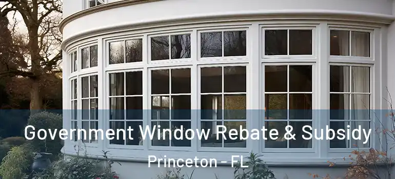  Government Window Rebate & Subsidy Princeton - FL