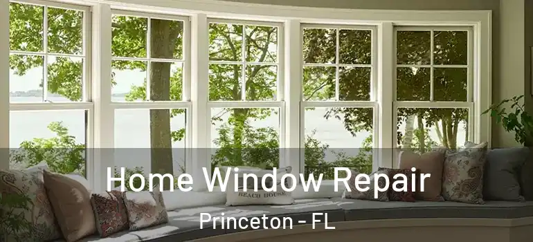  Home Window Repair Princeton - FL