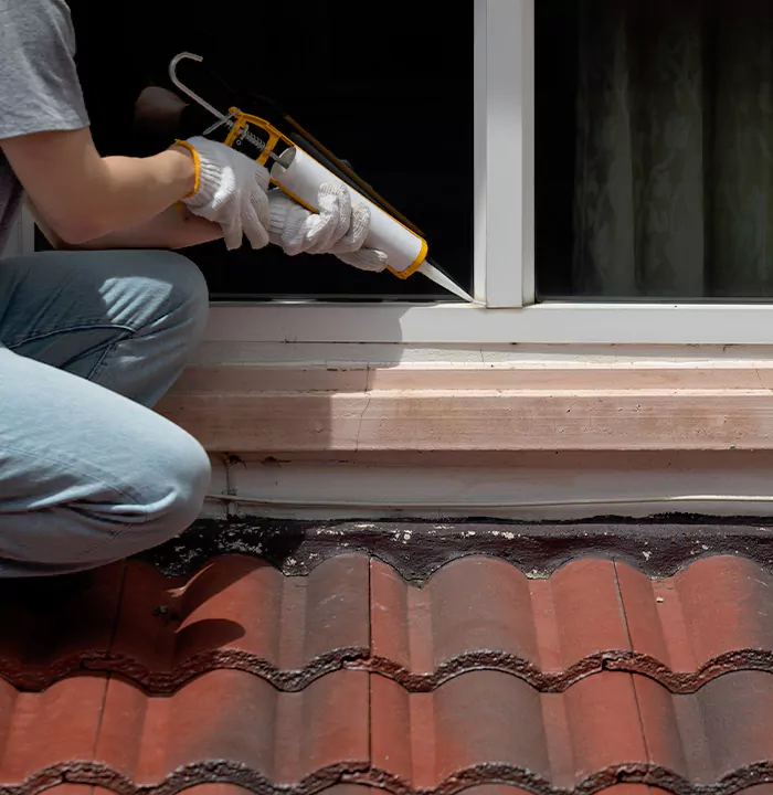 Roof Window Services in Princeton, Florida