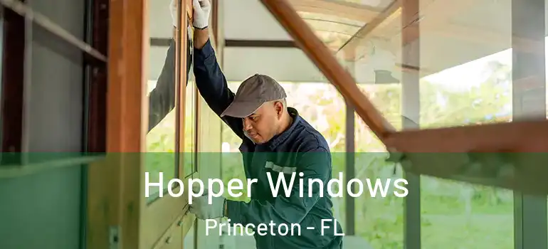  Hopper Windows Princeton - FL