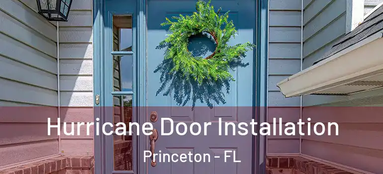  Hurricane Door Installation Princeton - FL