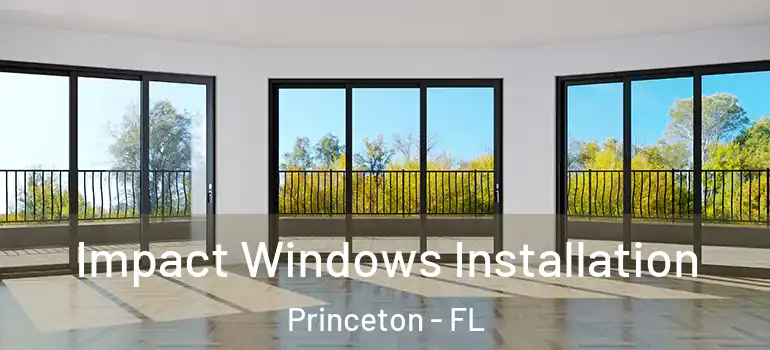  Impact Windows Installation Princeton - FL