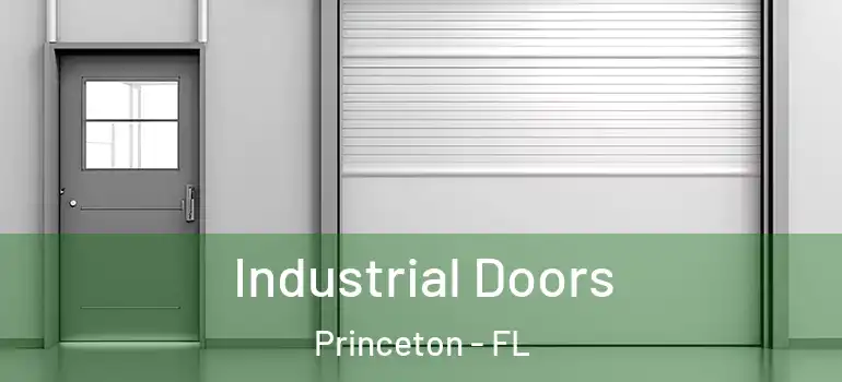 Industrial Doors Princeton - FL