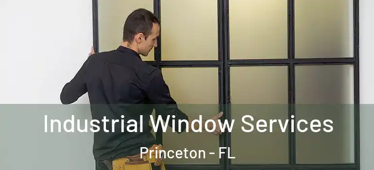  Industrial Window Services Princeton - FL
